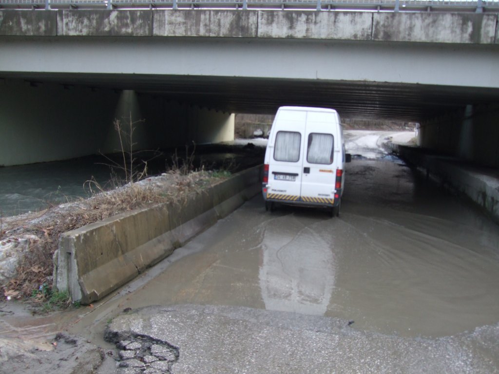 DSCF3487.JPG