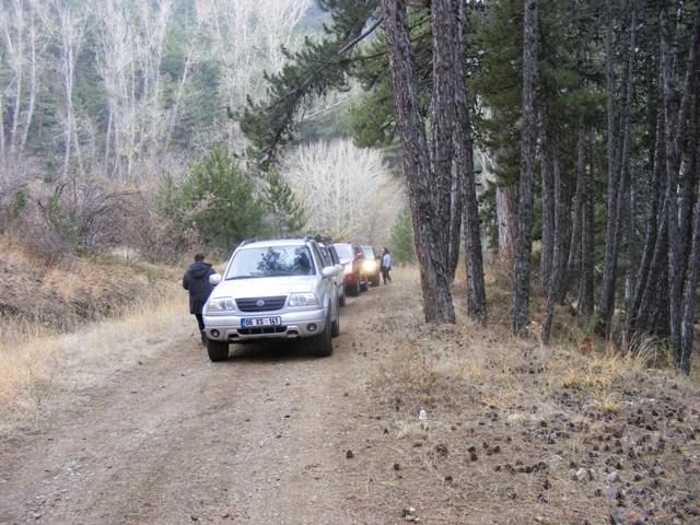 DSCF4187.jpg