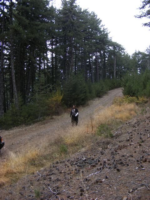DSCF4197.jpg