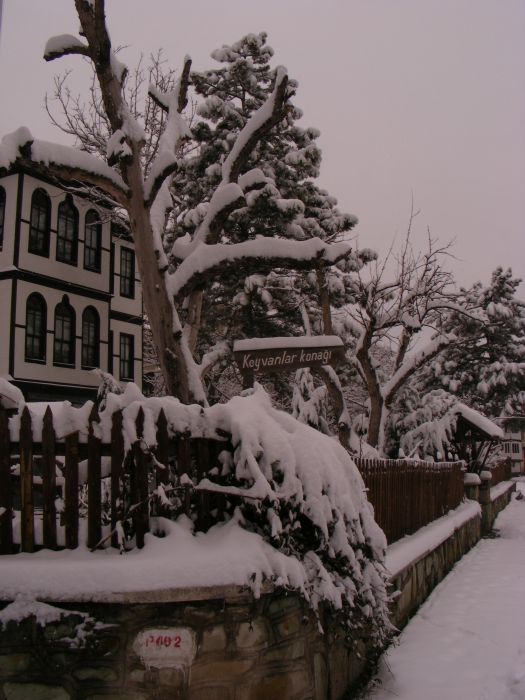 DSCF4277.jpg