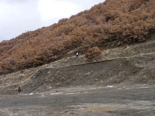 DSCF4330.jpg