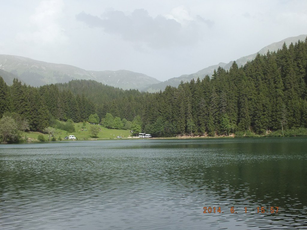 DSCF4335.jpg