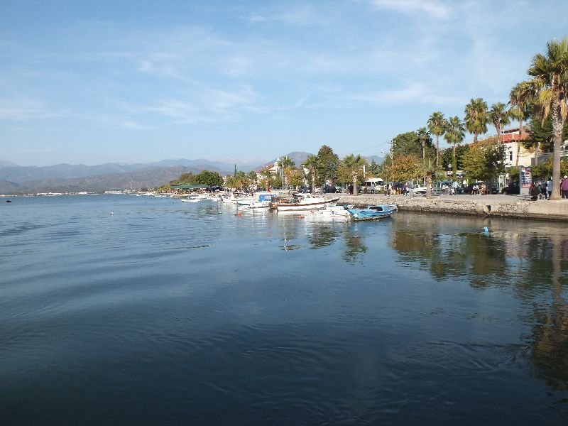 DSCF4398.jpg