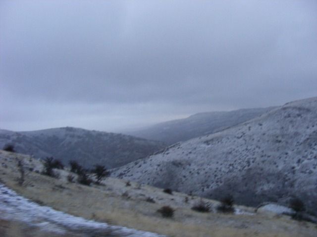 DSCF4428.jpg