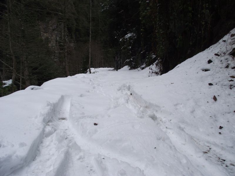 DSCF4640.jpg