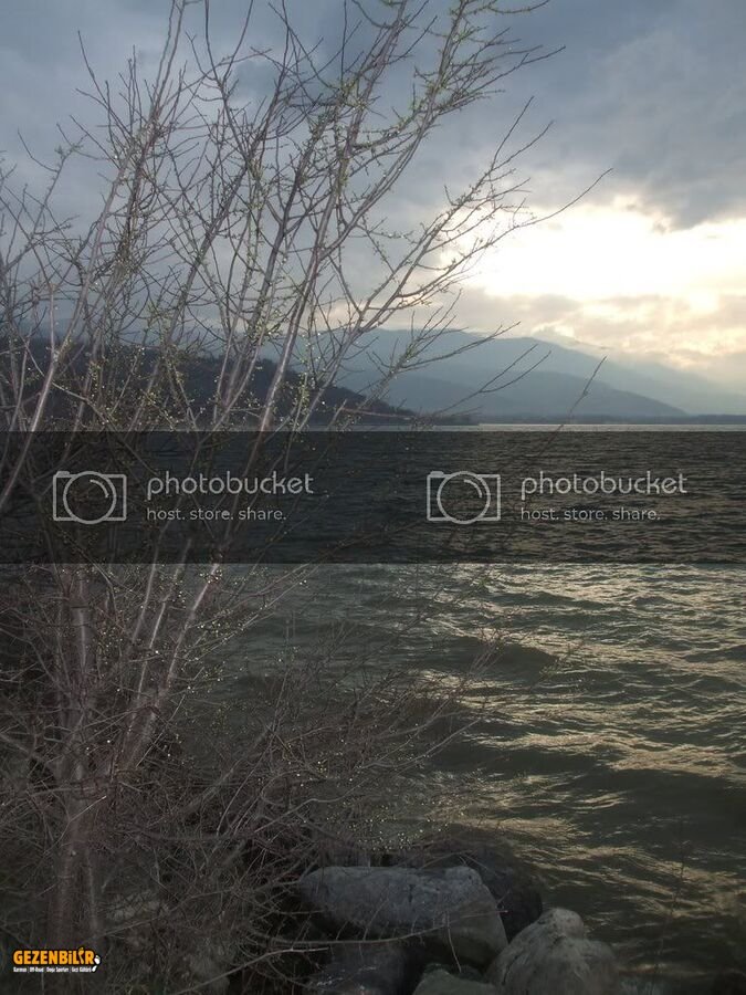DSCF4694.jpg