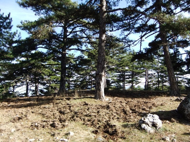 DSCF4777.JPG