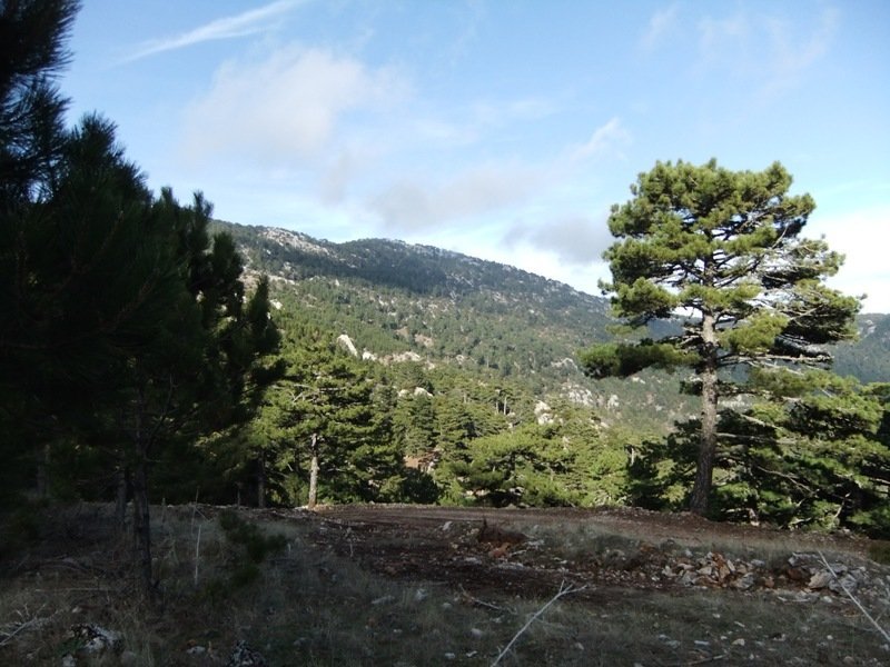 DSCF4781.JPG