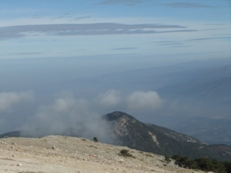 DSCF4786.JPG