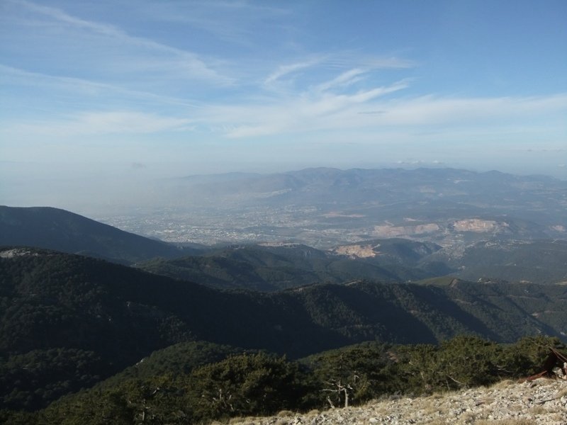 DSCF4795.JPG