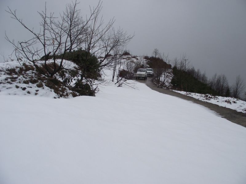 DSCF4802.jpg
