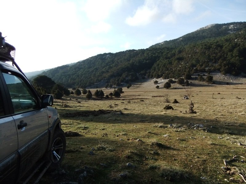 DSCF4825.JPG
