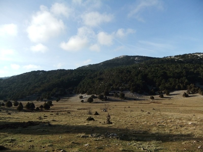 DSCF4826.JPG