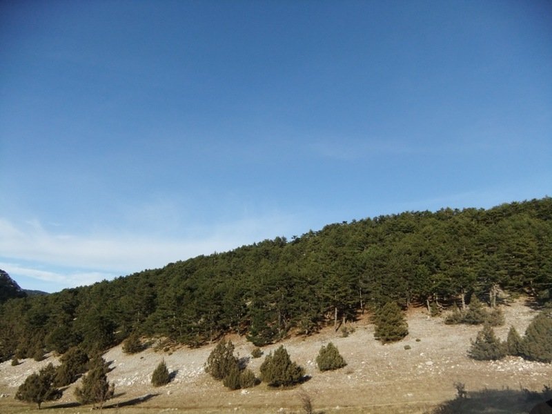DSCF4827.JPG
