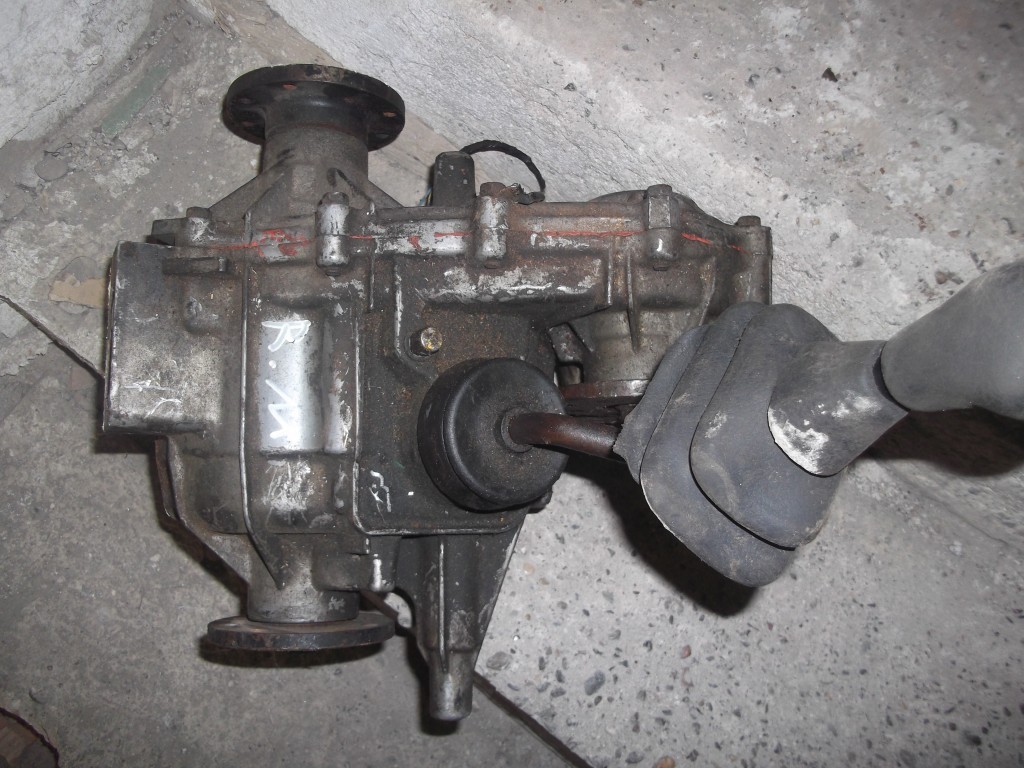 DSCF5195.JPG