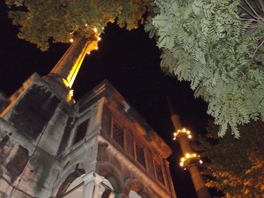 DSCF5401.JPG