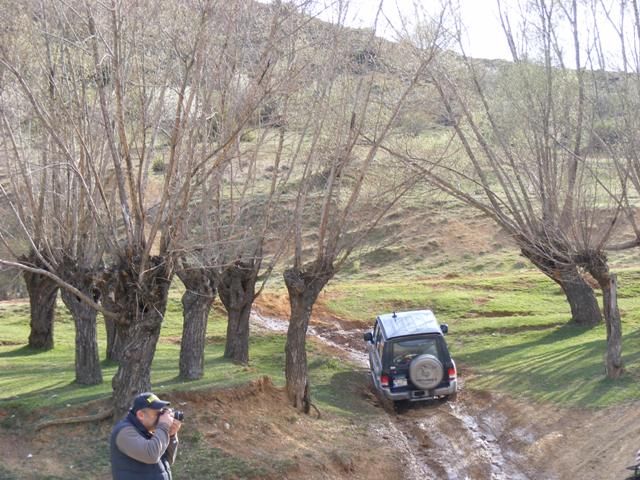 DSCF5504.jpg