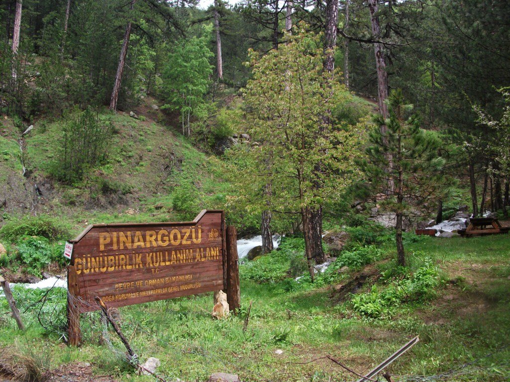 DSCF5667a.JPG