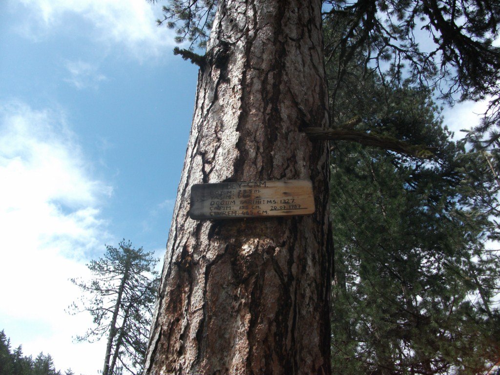 DSCF5676.JPG