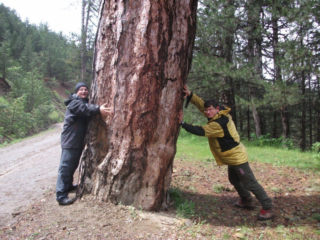 DSCF5679.JPG