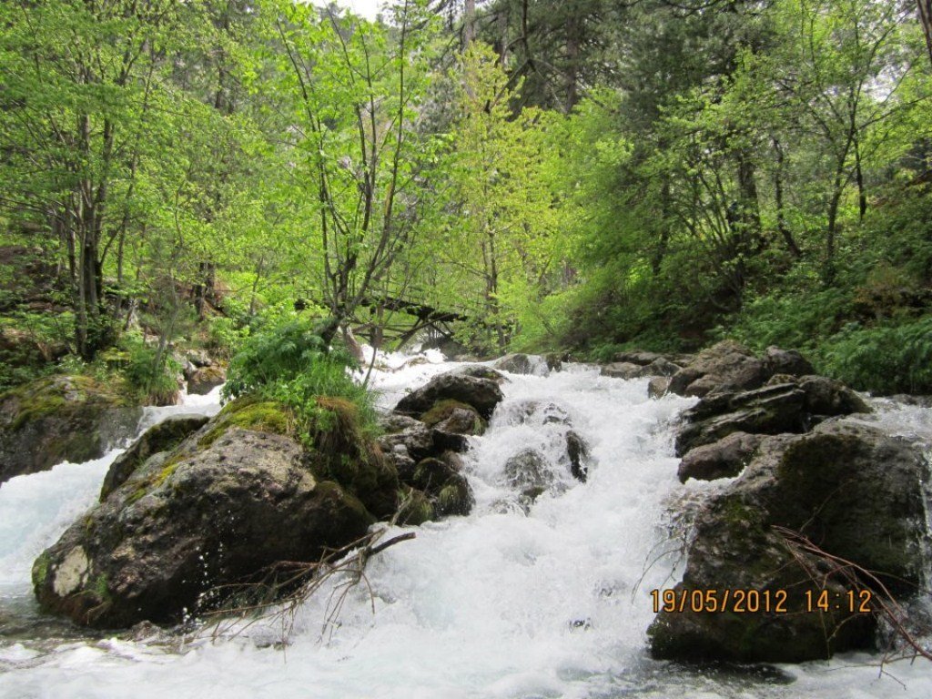DSCF5681a.jpg