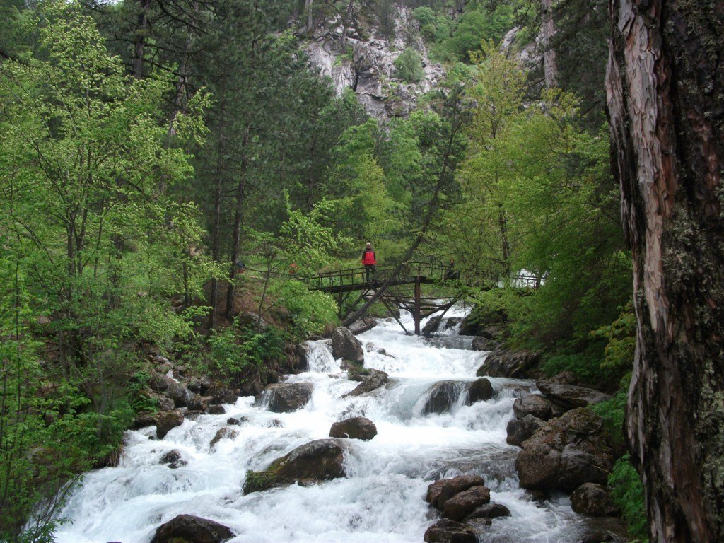 DSCF5688.JPG