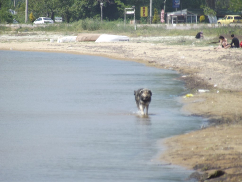 DSCF5726.JPG