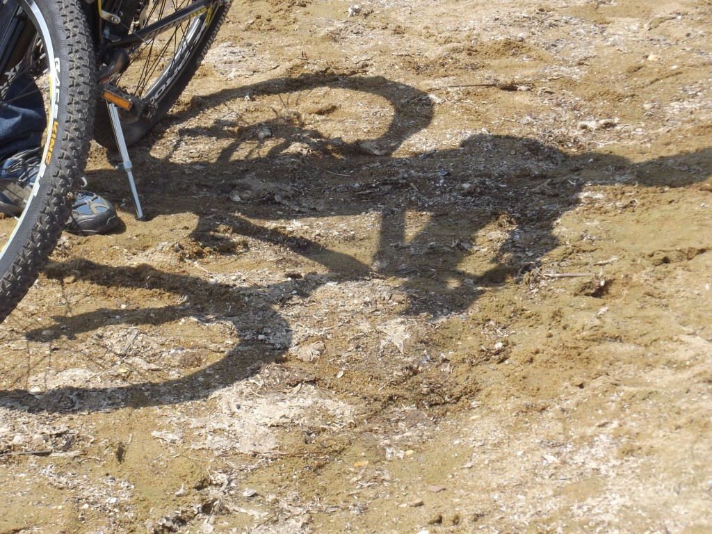DSCF5730.JPG
