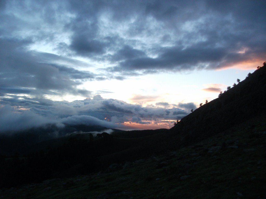 DSCF5731.JPG