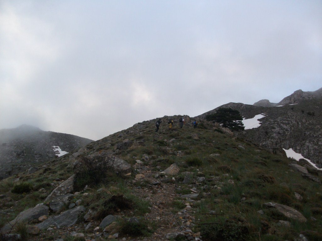 DSCF5742.JPG