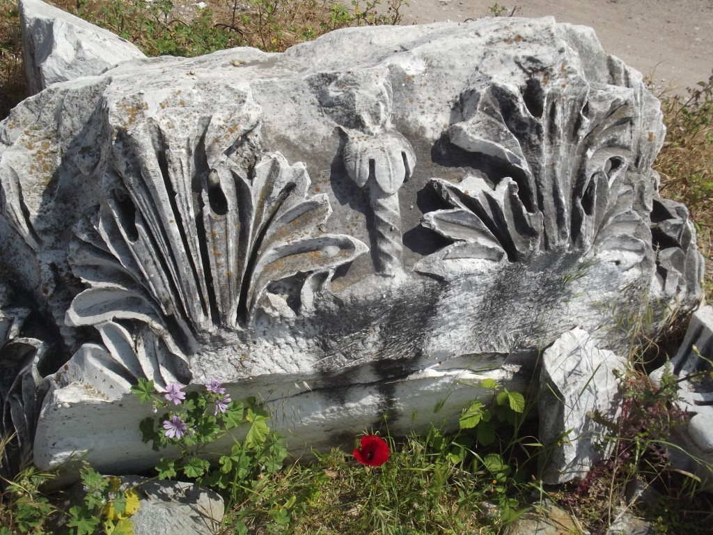 DSCF5747.JPG