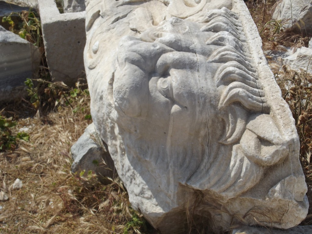 DSCF5756.JPG