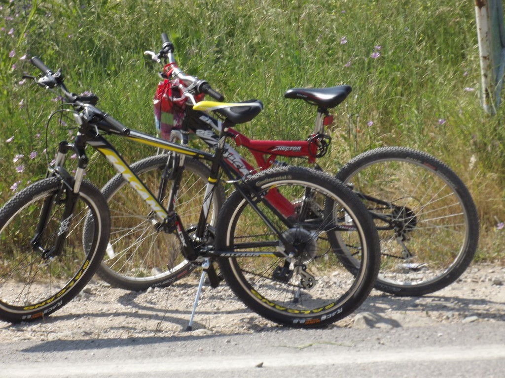 DSCF5777.JPG