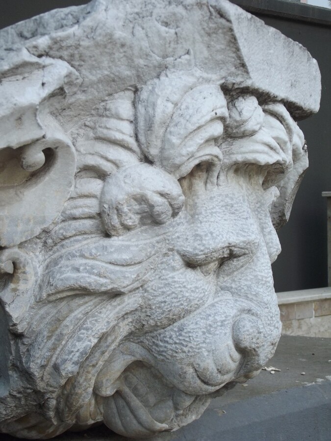 DSCF5799.JPG