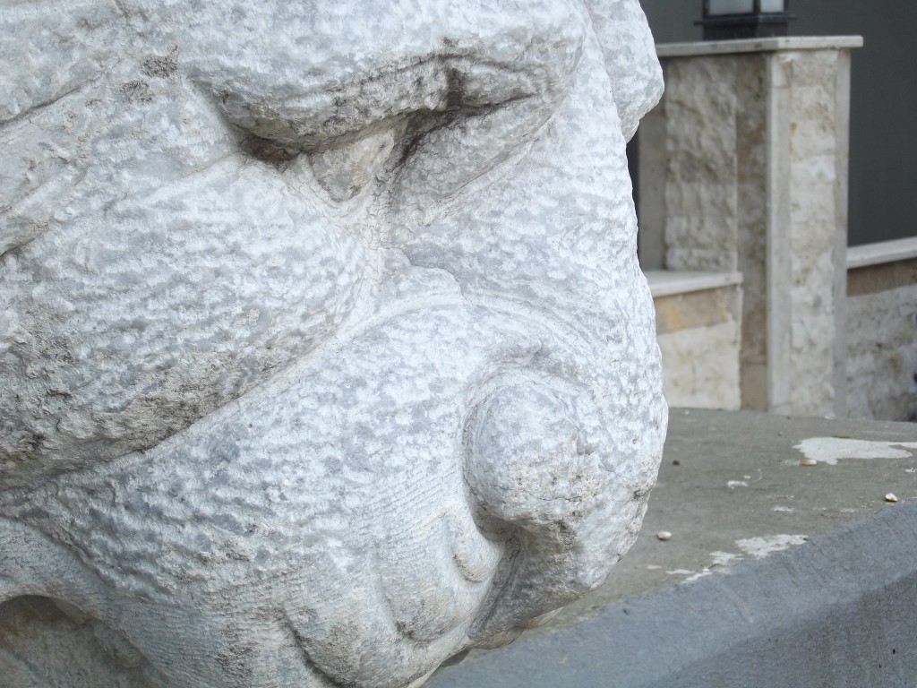 DSCF5804.JPG