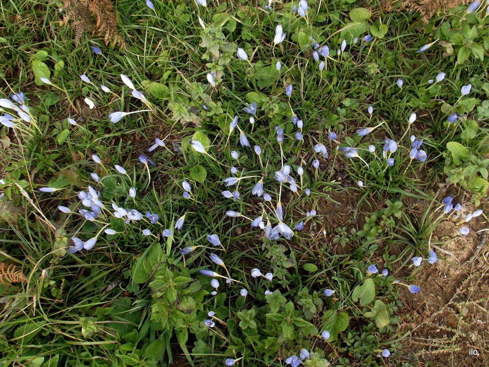 DSCF5898.jpg