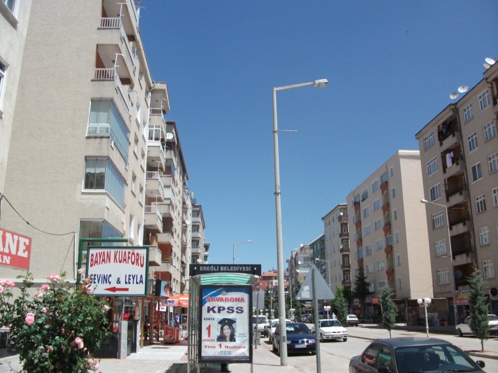 DSCF5967.JPG