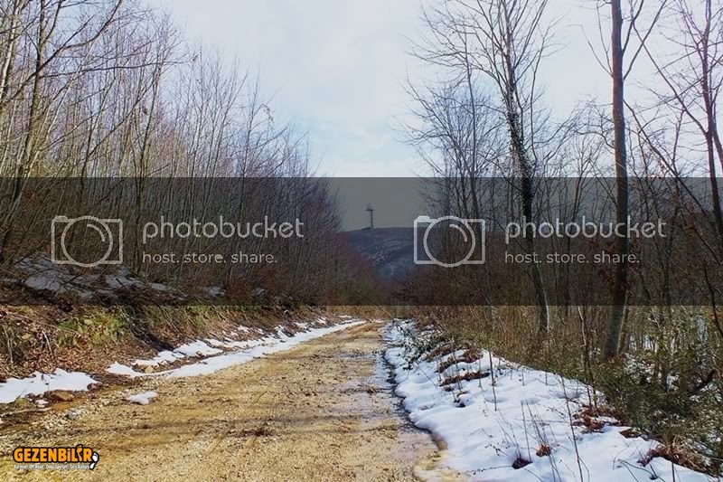 DSCF5968.jpg
