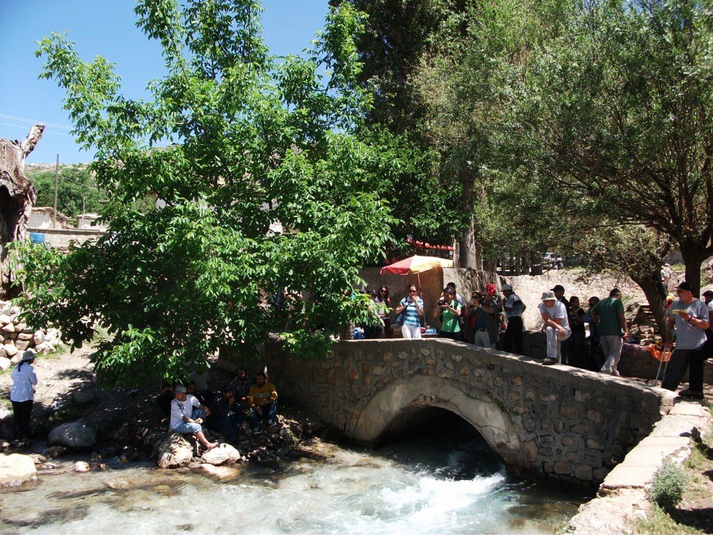 DSCF5996.JPG