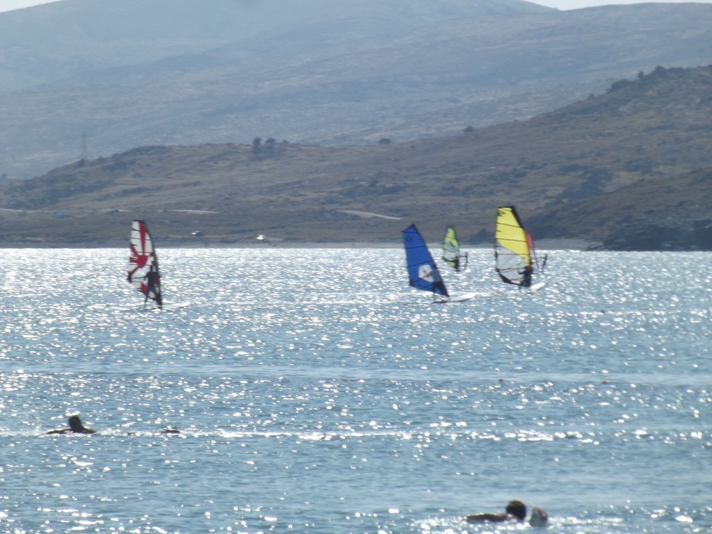 DSCF6652.JPG