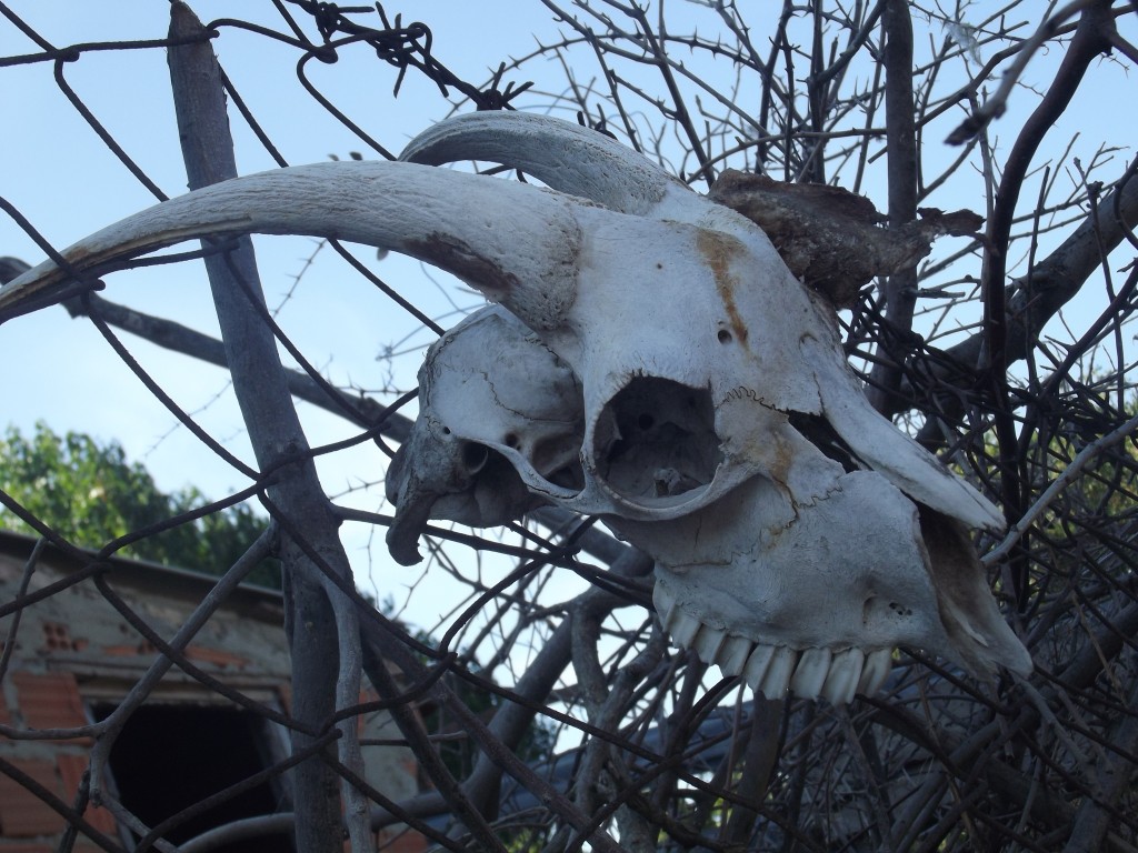 DSCF6697.JPG