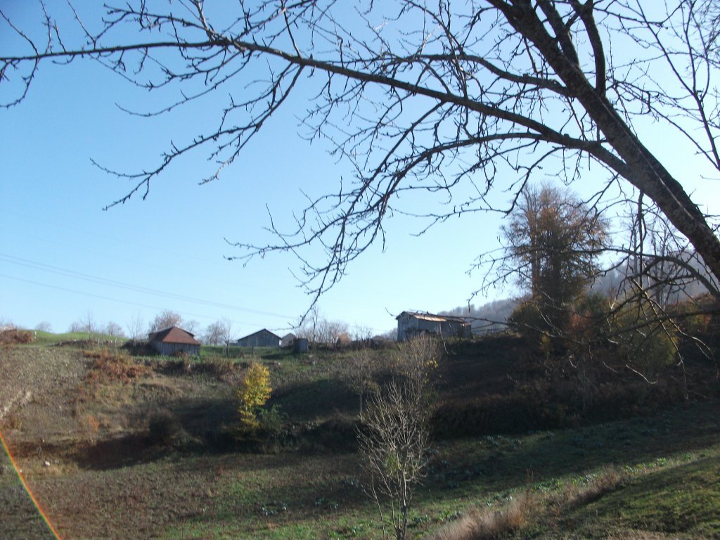 DSCF6771.JPG