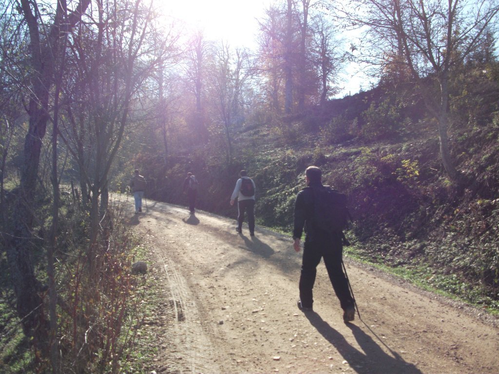 DSCF6772.JPG