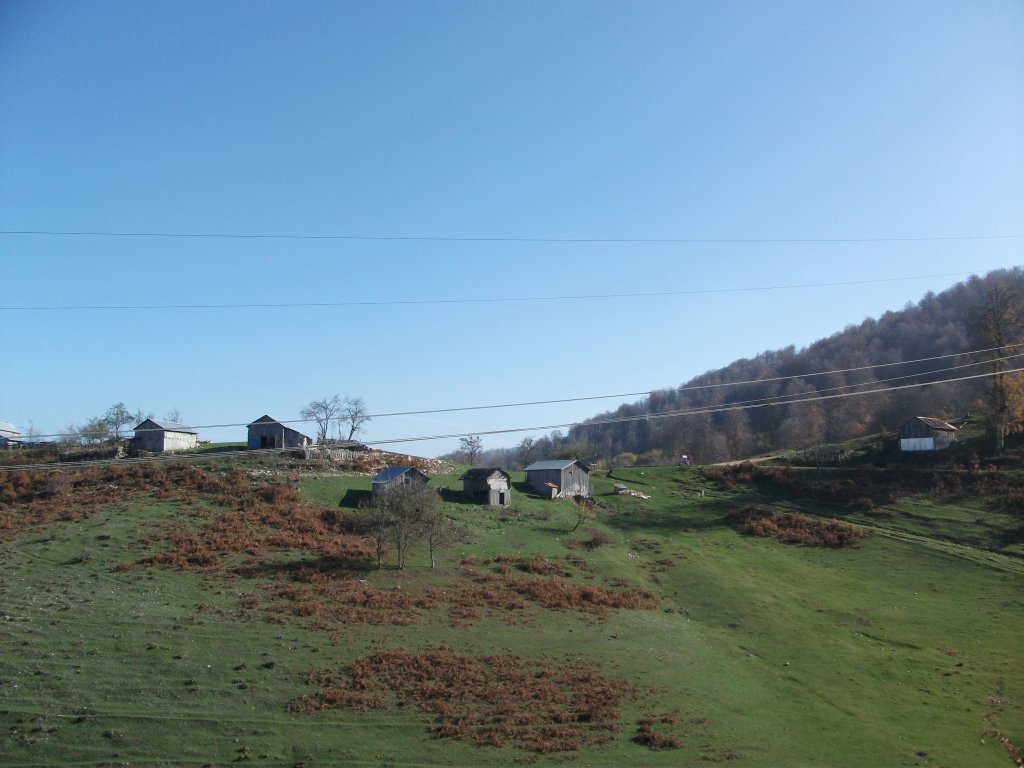 DSCF6774.JPG