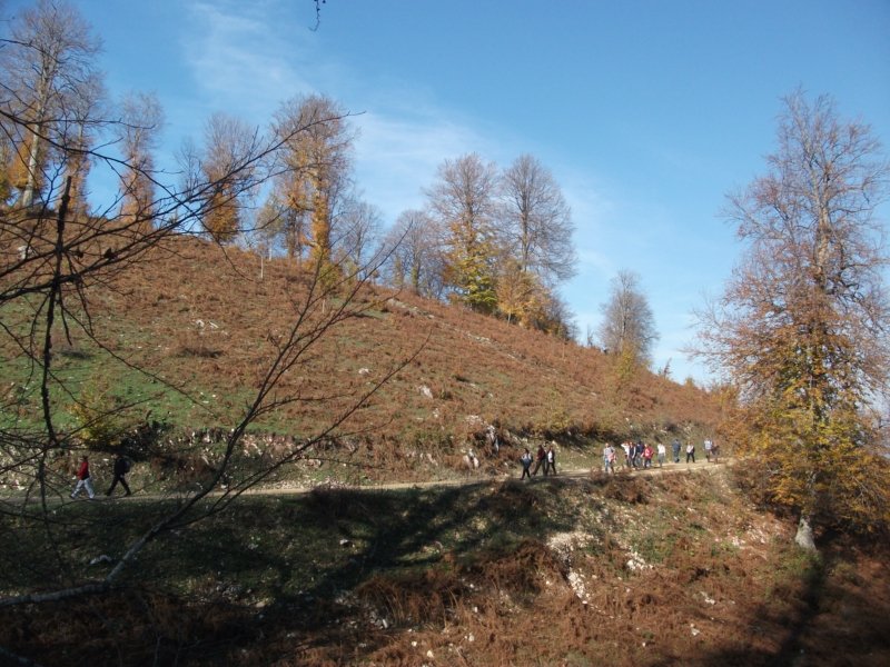 DSCF6782.jpg