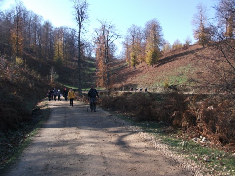 DSCF6784.jpg
