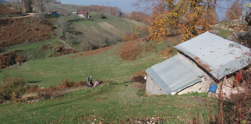 DSCF6788.jpg
