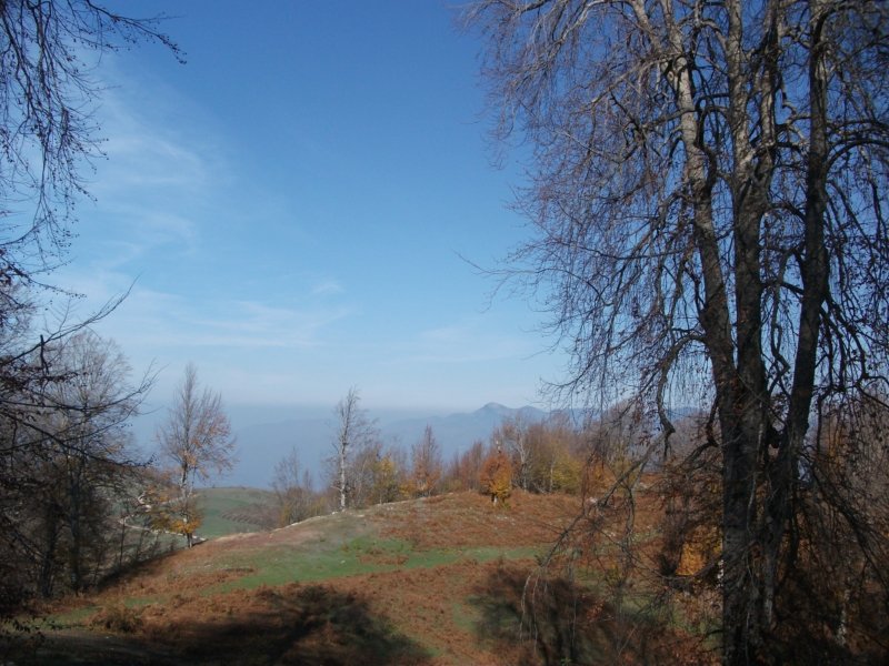 DSCF6791.jpg