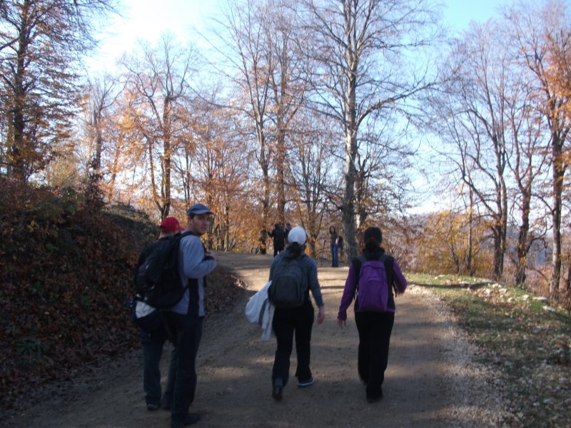 DSCF6792.jpg