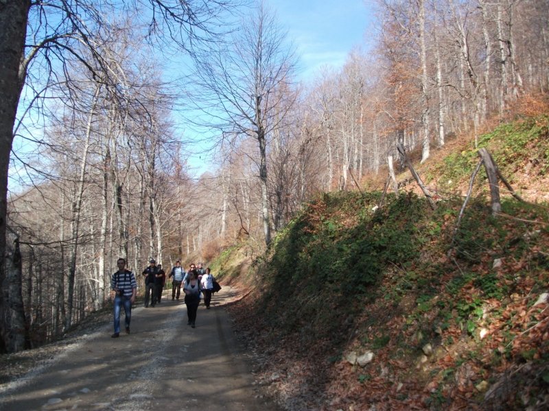DSCF6803.jpg